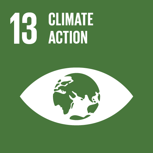13 - CLIMATE ACTION