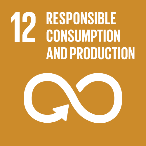 12 - RESPONSIBLE CONSUMPTION AND PRODUCTION