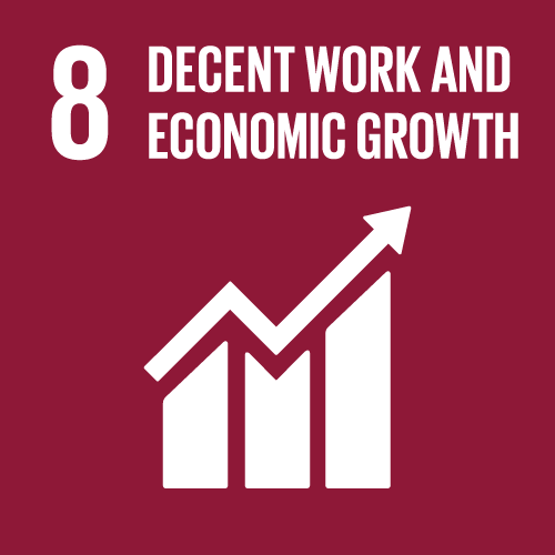8 - DECENT WORK AND ECONOMIC GROWTH