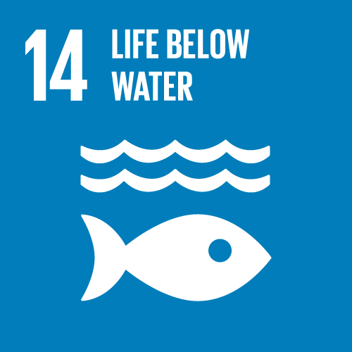 14 - LIFE BELOW WATER