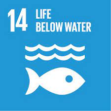 14. Life below water