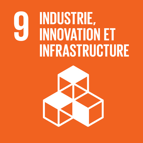 9. Industrie, innovation et infrastructure 