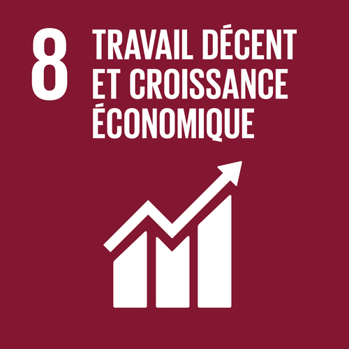 8. Travail décent et croissance économique