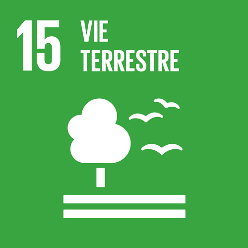 15. Vie terrestre