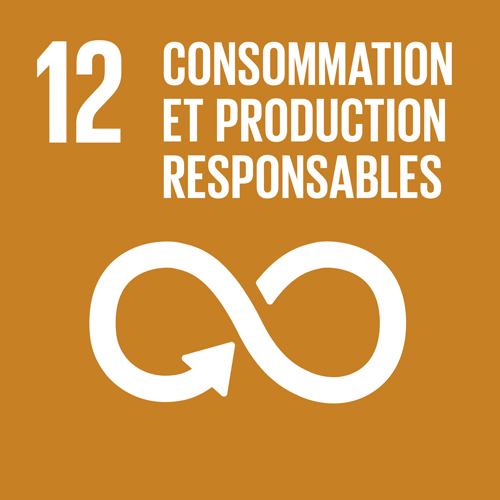 12. Consommation et production responsables