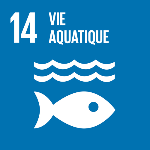 14. Vie aquatique