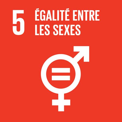 5. Égalité entre les sexes