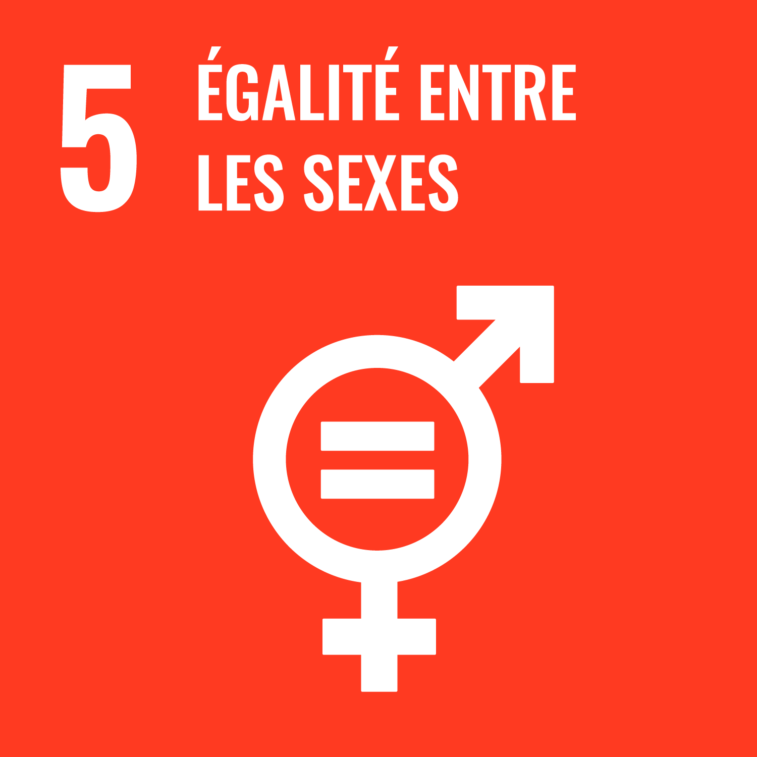 5 - Égalité entre les sexes