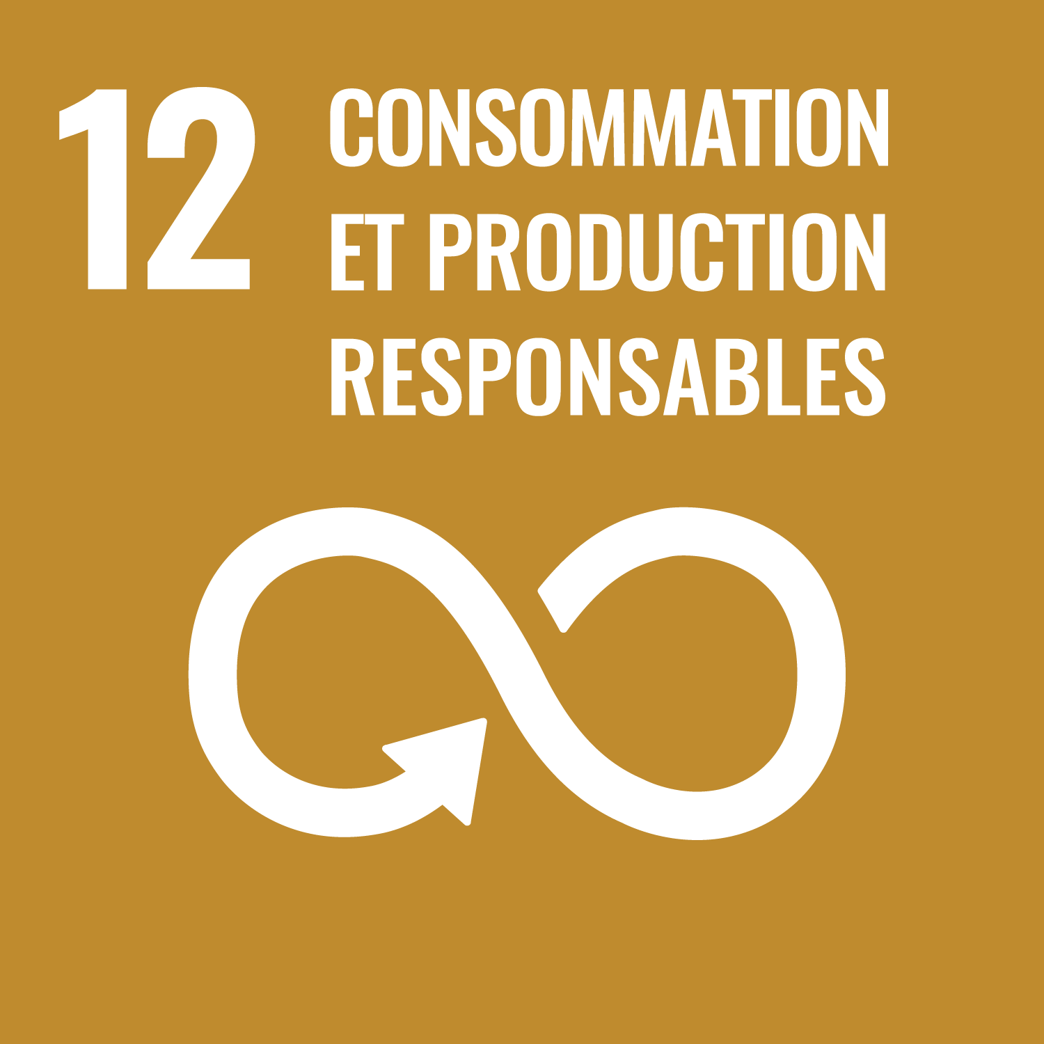 12 - Consommation et production responsable